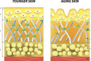 Tại sao Tretinoin lại có thể kích thích tăng sinh Collagen?